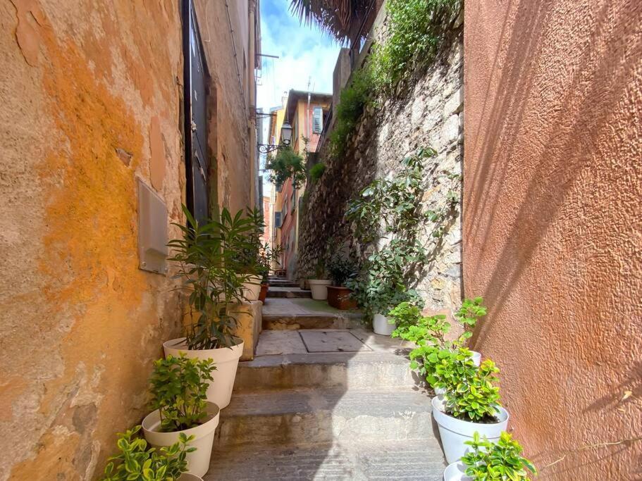 L5 2Mins Walk To The Beach Heart Of Old Town Nice Eksteriør billede